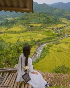 Nam Cang Ripe Rice Season: A Hidden Photography Gem in Sapa - image 7