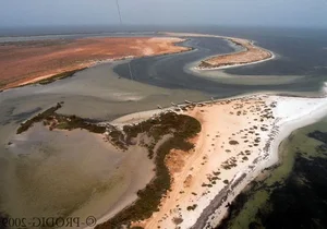 Lost in a Real-Life Paradise: Between the Sahara Desert and the Atlantic Ocean - image 0
