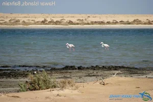 Lost in a Real-Life Paradise: Between the Sahara Desert and the Atlantic Ocean - image 1