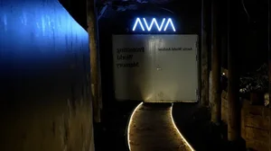 Inside the Svalbard Global Seed Vault: Humanity's Ultimate Doomsday Insurance Policy - image 10