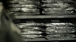 Inside the Svalbard Global Seed Vault: Humanity's Ultimate Doomsday Insurance Policy - image 4