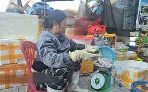 From Poor Man's Food to Gourmet Delicacy: The Surprising Rise of This Local Fish - image 7