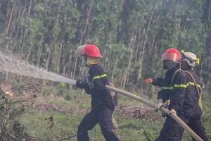 Da Nang Conducts Massive Forest Firefighting Drills Amid Heatwave - image 1