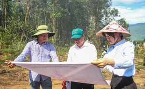 Da Nang Conducts Massive Forest Firefighting Drills Amid Heatwave - image 8