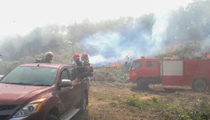 Da Nang Conducts Massive Forest Firefighting Drills Amid Heatwave - image 5