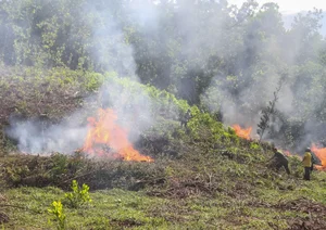 Da Nang Conducts Massive Forest Firefighting Drills Amid Heatwave - image 6
