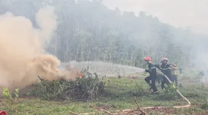 Da Nang Conducts Massive Forest Firefighting Drills Amid Heatwave - image 4