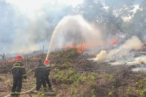 Da Nang Conducts Massive Forest Firefighting Drills Amid Heatwave - image 2
