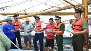 Vietnamese Fishermen Sign Strict Commitments to Combat IUU Fishing - image 5