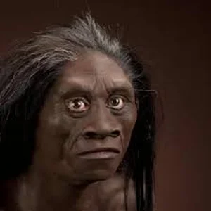 Unveiling the Mystery of the Shrunken Humanoid: Science vs. Legend - image 5