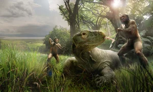 Unveiling the Mystery of the Shrunken Humanoid: Science vs. Legend - image 2