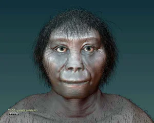 Unveiling the Mystery of the Shrunken Humanoid: Science vs. Legend - image 3