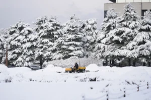Winter Wonderland: Seoul Transformed by Heavy Snowfall - image 4