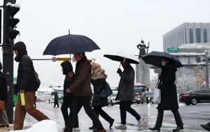 Winter Wonderland: Seoul Transformed by Heavy Snowfall - image 2