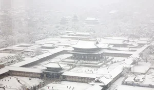 Winter Wonderland: Seoul Transformed by Heavy Snowfall - image 8