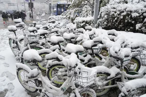 Winter Wonderland: Seoul Transformed by Heavy Snowfall - image 1