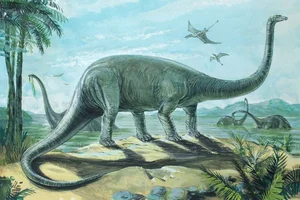 Incredible Facts About Long-Necked Dinosaurs: The Giants of the Past - image 7