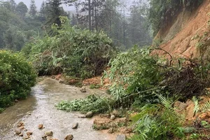 Lao Cai Traffic Critical Amidst 5,000 Landslide Points This Flood Season - image 6