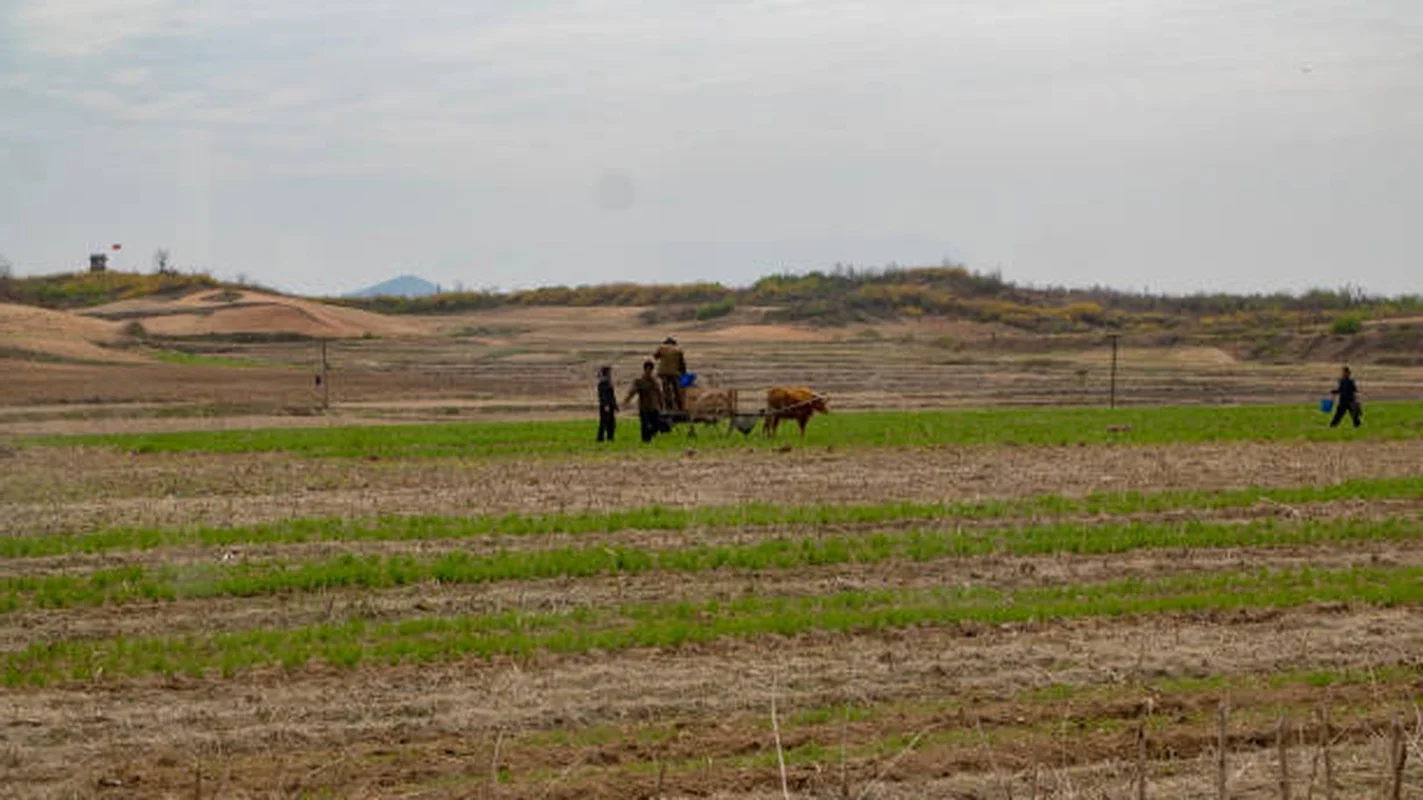Rare Photos of Rural North Korea: A Glimpse into the Countryside's Hidden Landscapes
