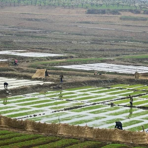Rare Photos of Rural North Korea: A Glimpse into the Countryside's Hidden Landscapes - image 1