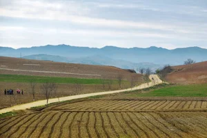 Rare Photos of Rural North Korea: A Glimpse into the Countryside's Hidden Landscapes - image 9
