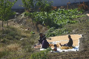 Rare Photos of Rural North Korea: A Glimpse into the Countryside's Hidden Landscapes - image 2