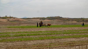Rare Photos of Rural North Korea: A Glimpse into the Countryside's Hidden Landscapes - image 0