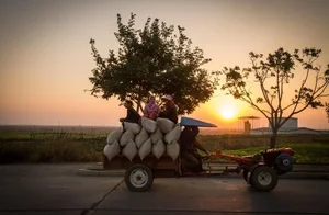 Rare Photos of Rural North Korea: A Glimpse into the Countryside's Hidden Landscapes - image 8