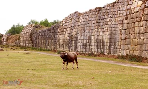Exploring the Architectural Wonder of the UNESCO-Recognized Citadel of the Ho Dynasty - image 4