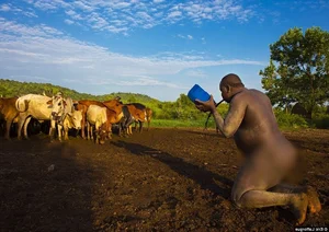 The Fascinating Tribe Where Men with Large 'Beer Bellies' are Most Attractive - image 4