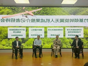 Innovative Engineering: China Develops Low-Cost UAVs Using Sustainable Bamboo Wings - image 5