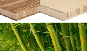 Innovative Engineering: China Develops Low-Cost UAVs Using Sustainable Bamboo Wings - image 2