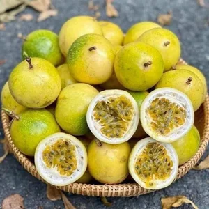 Exotic Guava-Scented Lemons Take the Vietnamese Fruit Market by Storm with Unique Aroma - image 0