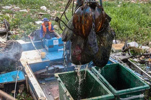 Massive Cleanup Operation at Nhieu Loc - Thi Nghe Canal in HCMC - image 12