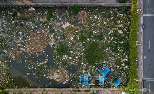 Massive Cleanup Operation at Nhieu Loc - Thi Nghe Canal in HCMC - image 1