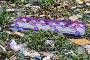 Massive Cleanup Operation at Nhieu Loc - Thi Nghe Canal in HCMC - image 8