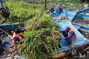 Massive Cleanup Operation at Nhieu Loc - Thi Nghe Canal in HCMC - image 6