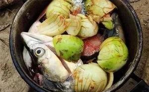 Three Forgotten Fruits Once Left to Rot That Are Now Expensive Delicacies - image 6
