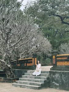 Why International Travelers are Falling in Love with the Historic City of Hue - image 2