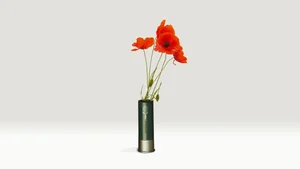 Creative Innovation: The Unusual Gun That Fires Flowers Instead of Bullets - image 6