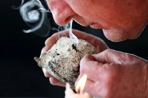 Floating Gold: The Rare Animal Substance More Valuable Than Precious Metals - image 0