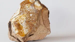 Floating Gold: The Rare Animal Substance More Valuable Than Precious Metals - image 6