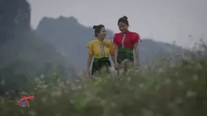 14th Vietnam-Europe Documentary Film Festival: Exploring Culture and Humanity Through Cinema - image 6