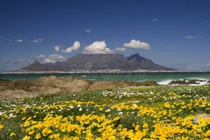 The Ecological Splendor and Ancient Geology of Africa's Iconic Flat-Top Peak - image 6