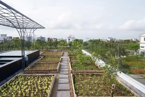 TH House: Innovative 2-Story Home in Da Nang with a Rooftop Organic Farm - image 0
