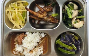 The Shocking Reality Behind School Lunches: A Mother's Hilarious Discovery - image 7