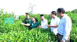 Promoting the 'All People United in Building Cultural Life' Movement in Thai Nguyen - image 2