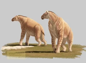 The Bizarre Chalicothere: Nature’s Half-Horse, Half-Primate Mystery - image 4
