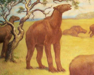 The Bizarre Chalicothere: Nature’s Half-Horse, Half-Primate Mystery - image 2