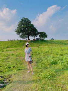 Visit the Famous Lonely Tree from Hoa Minzy's Bac Bling MV - image 8